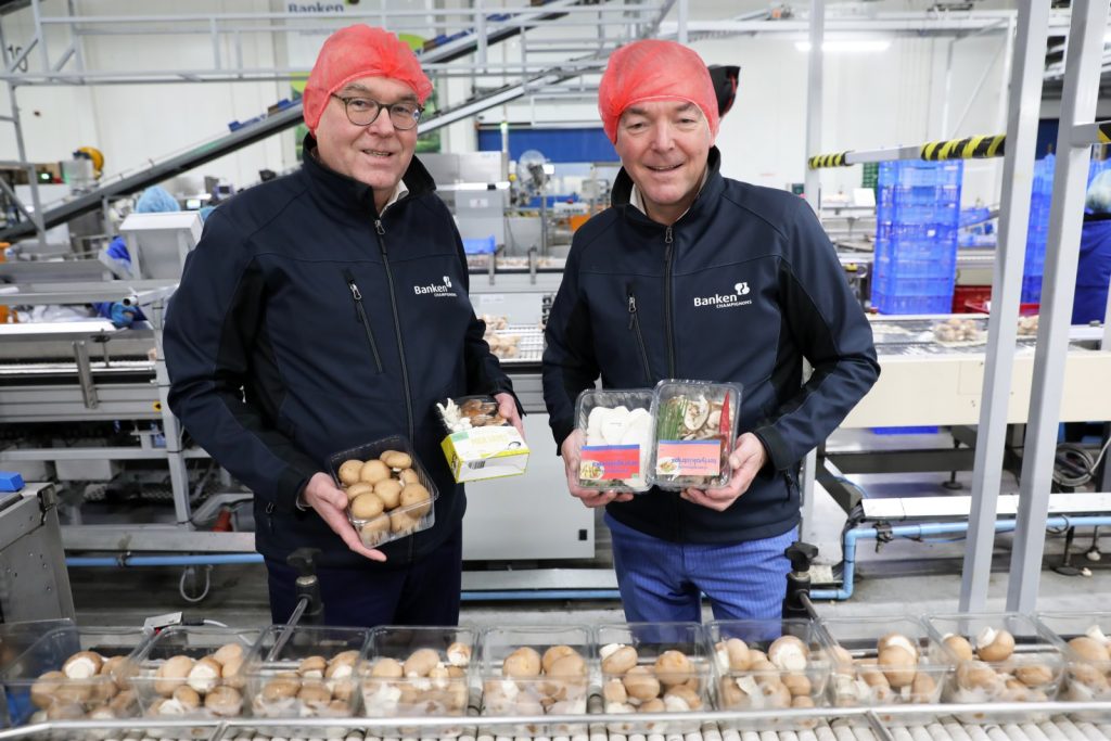 Banken Champignons